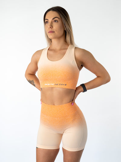 Ombre Sports Bra