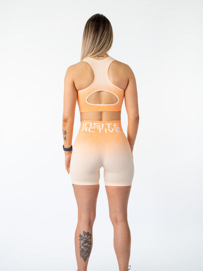 Ombre Sports Bra