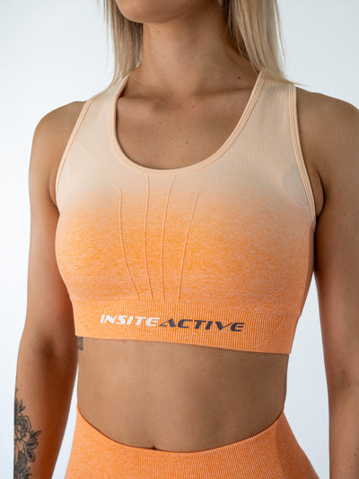 Ombre Sports Bra